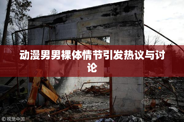 动漫男男裸体情节引发热议与讨论