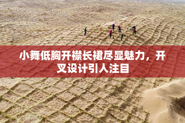 小舞低胸开襟长裙尽显魅力，开叉设计引人注目