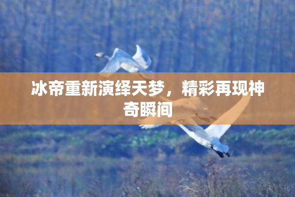 冰帝重新演绎天梦，精彩再现神奇瞬间