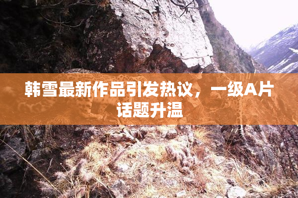 韩雪最新作品引发热议，一级A片话题升温