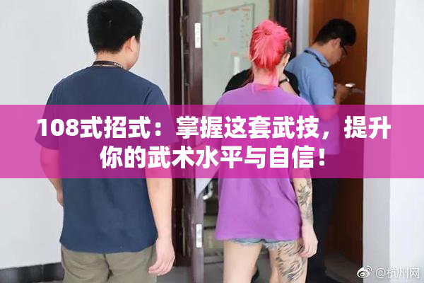 108式招式：掌握这套武技，提升你的武术水平与自信！