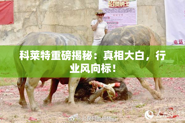 科莱特重磅揭秘：真相大白，行业风向标！