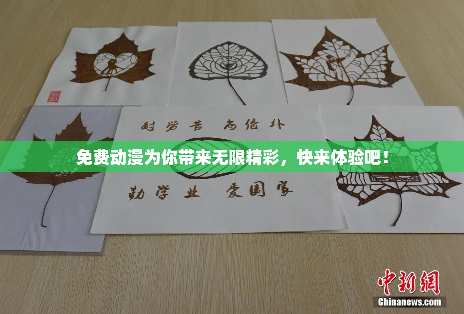 免费动漫为你带来无限精彩，快来体验吧！