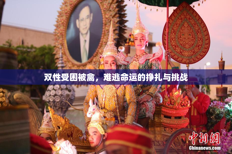 双性受困被禽，难逃命运的挣扎与挑战