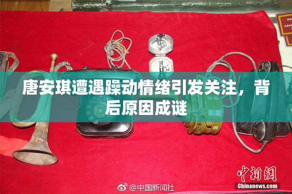 唐安琪遭遇躁动情绪引发关注，背后原因成谜