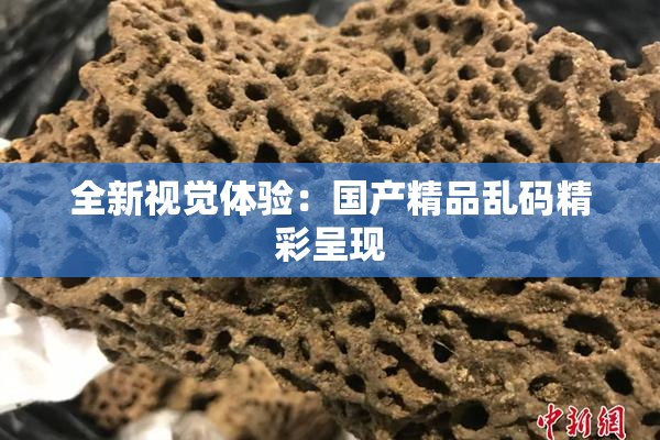 全新视觉体验：国产精品乱码精彩呈现