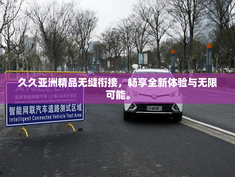 久久亚洲精品无缝衔接，畅享全新体验与无限可能。