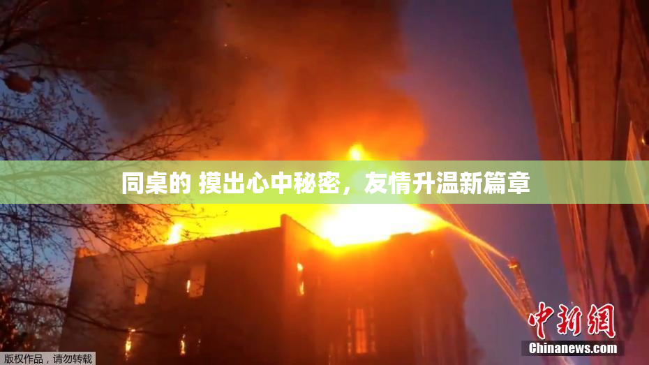 同桌的 摸出心中秘密，友情升温新篇章