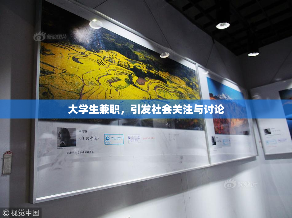 大学生兼职，引发社会关注与讨论