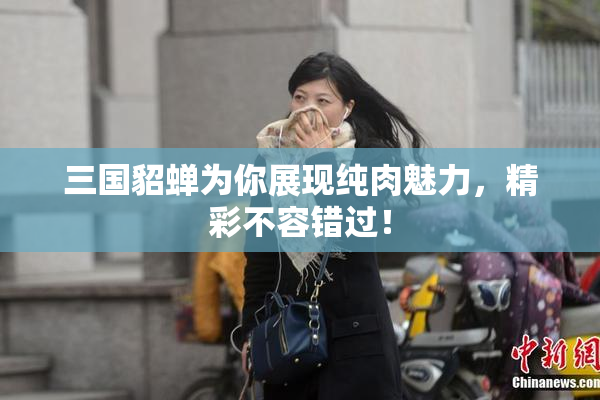三国貂蝉为你展现纯肉魅力，精彩不容错过！