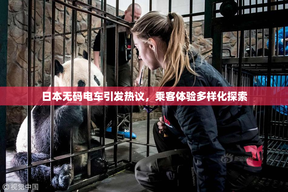 日本无码电车引发热议，乘客体验多样化探索