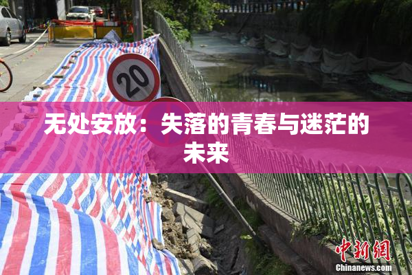 无处安放：失落的青春与迷茫的未来