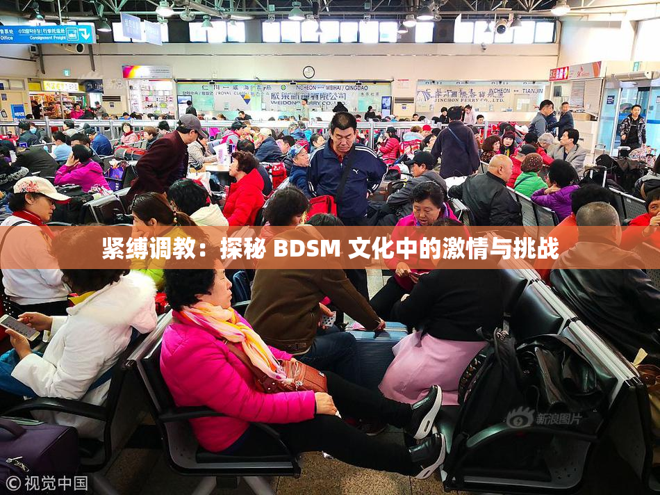 紧缚调教：探秘 BDSM 文化中的激情与挑战
