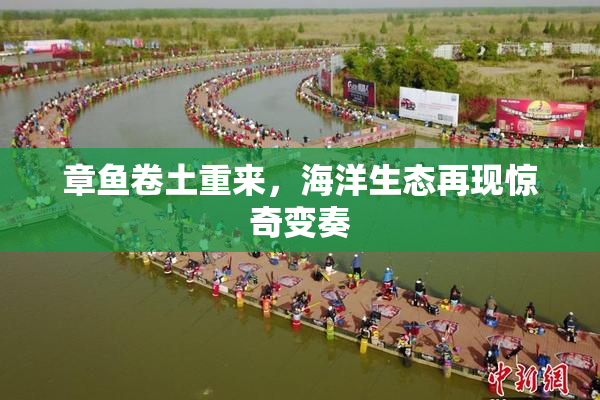 章鱼卷土重来，海洋生态再现惊奇变奏