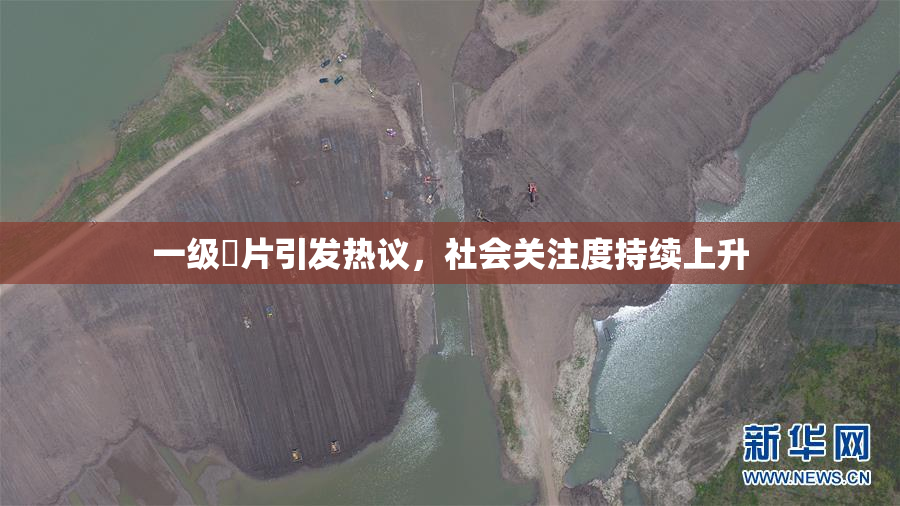 一级婬片引发热议，社会关注度持续上升