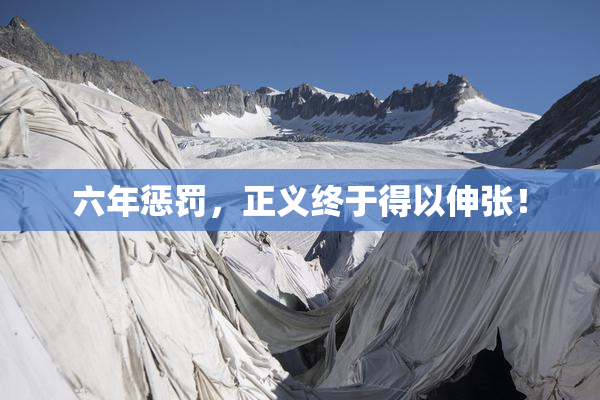 六年惩罚，正义终于得以伸张！