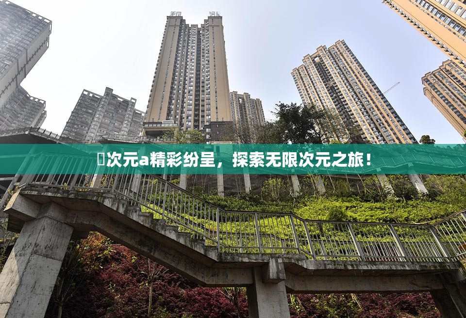 囧次元a精彩纷呈，探索无限次元之旅！