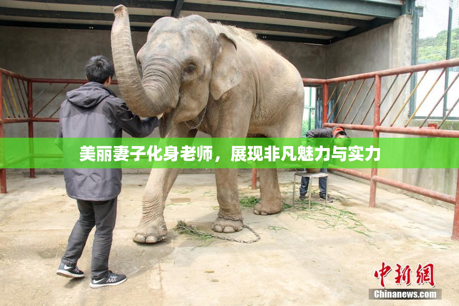 美丽妻子化身老师，展现非凡魅力与实力