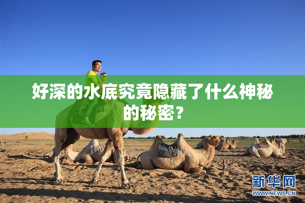 好深的水底究竟隐藏了什么神秘的秘密？