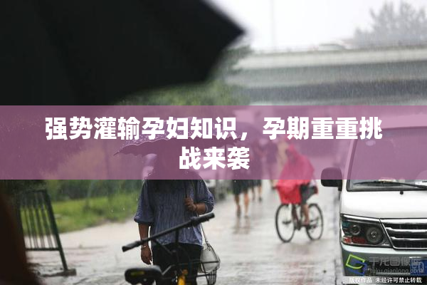 强势灌输孕妇知识，孕期重重挑战来袭