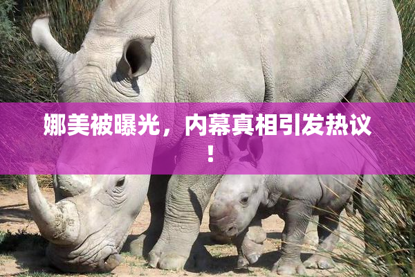 娜美被曝光，内幕真相引发热议！