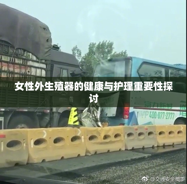 女性外生殖器的健康与护理重要性探讨