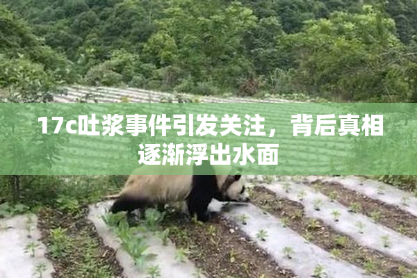 17c吐浆事件引发关注，背后真相逐渐浮出水面