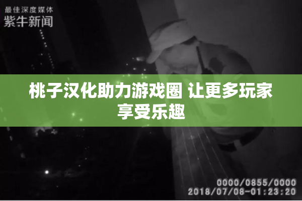 桃子汉化助力游戏圈 让更多玩家享受乐趣