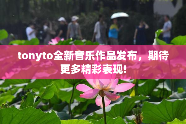tonyto全新音乐作品发布，期待更多精彩表现!