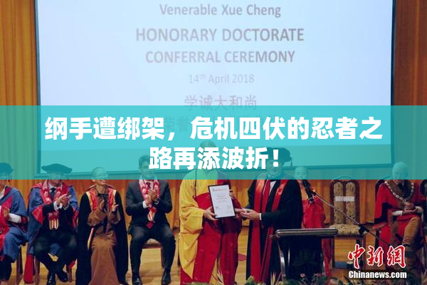 纲手遭绑架，危机四伏的忍者之路再添波折！