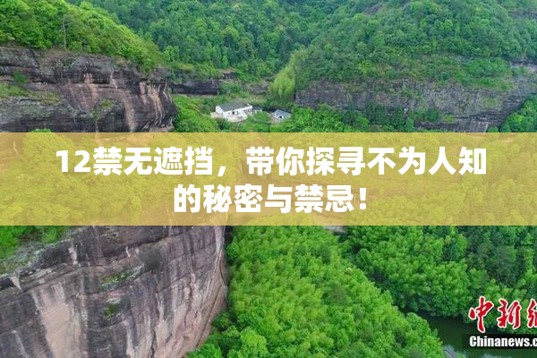 12禁无遮挡，带你探寻不为人知的秘密与禁忌！