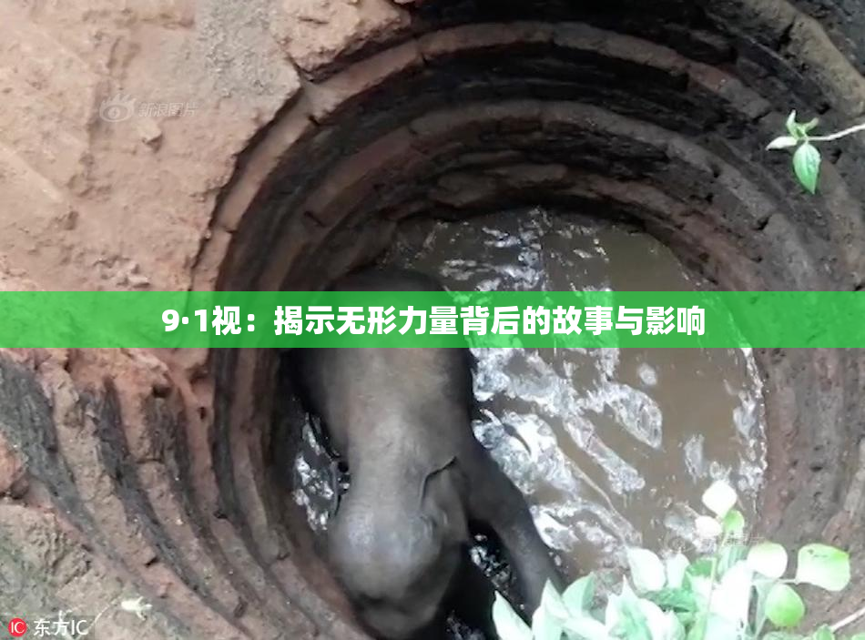 9·1视：揭示无形力量背后的故事与影响