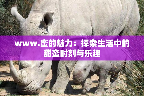 www.蜜的魅力：探索生活中的甜蜜时刻与乐趣
