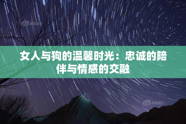女人与狗的温馨时光：忠诚的陪伴与情感的交融