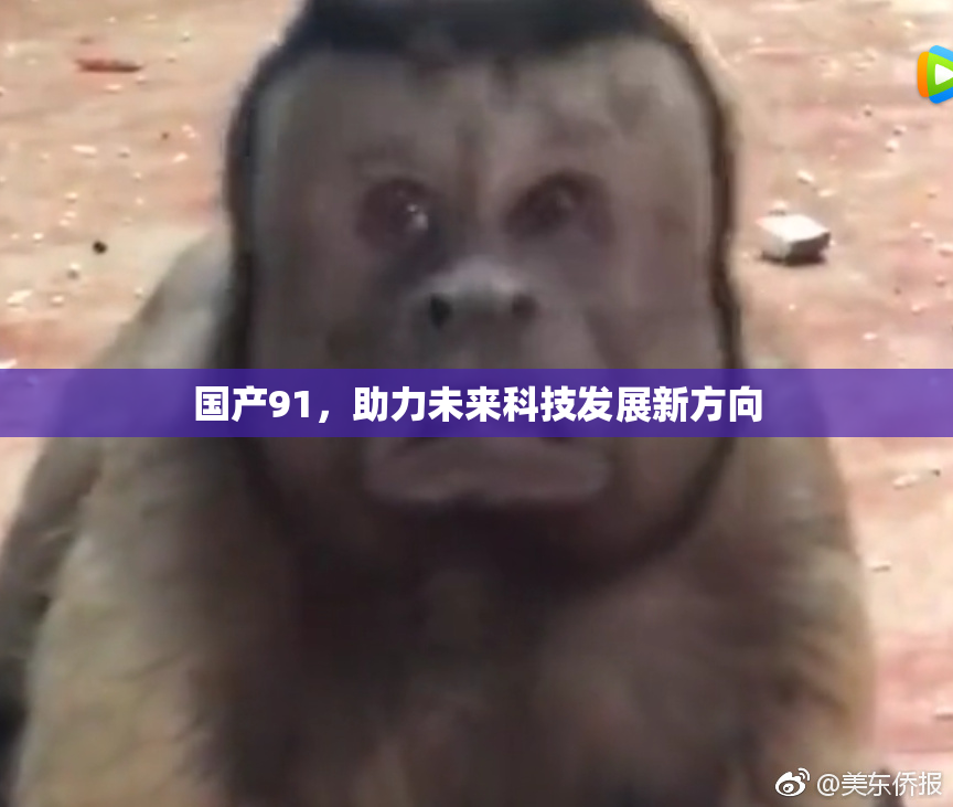国产91，助力未来科技发展新方向