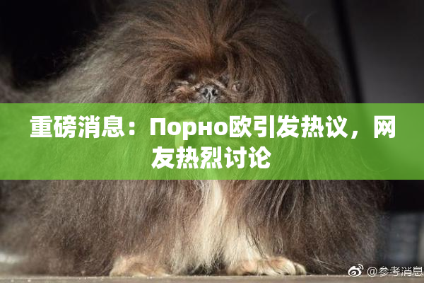 重磅消息：Порно欧引发热议，网友热烈讨论
