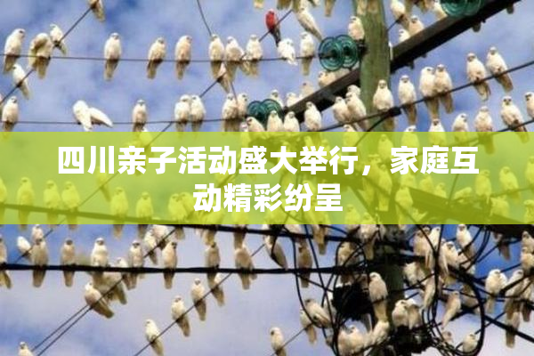 四川亲子活动盛大举行，家庭互动精彩纷呈