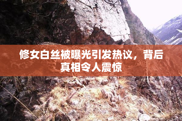 修女白丝被曝光引发热议，背后真相令人震惊