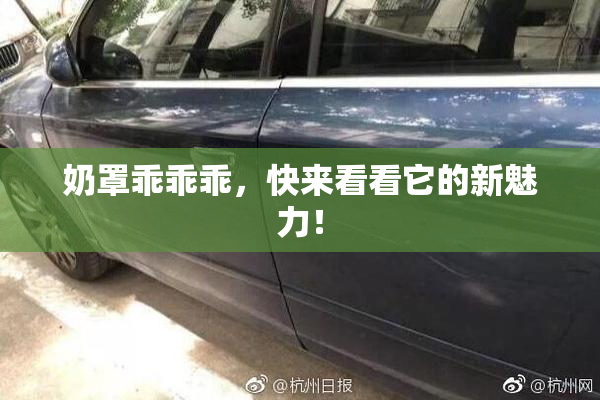 奶罩乖乖乖，快来看看它的新魅力！