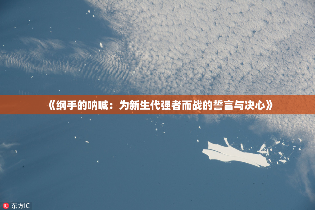 《纲手的呐喊：为新生代强者而战的誓言与决心》