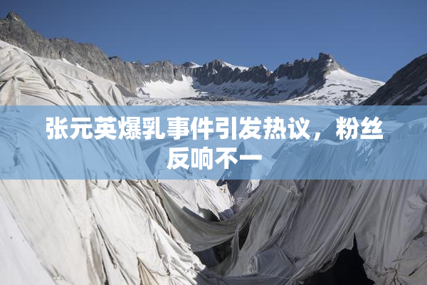 张元英爆乳事件引发热议，粉丝反响不一