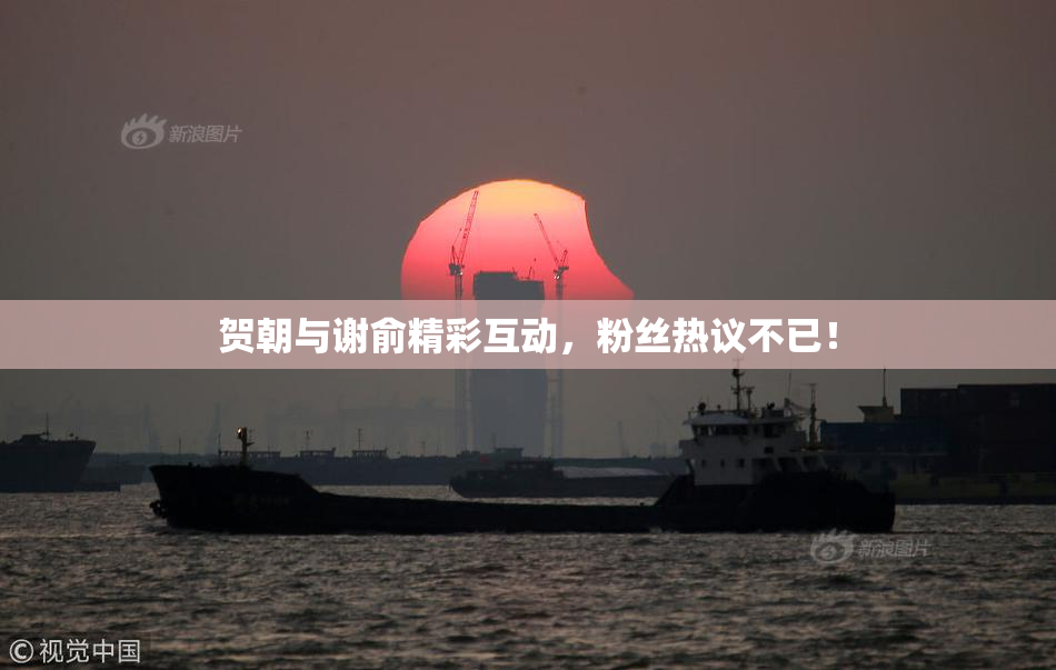 贺朝与谢俞精彩互动，粉丝热议不已！
