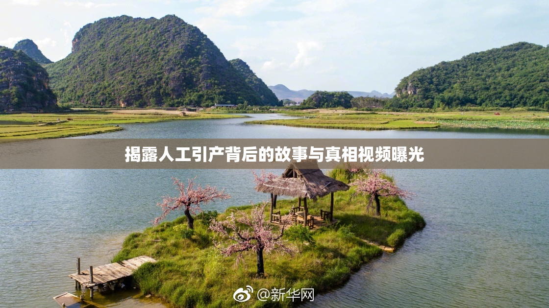 揭露人工引产背后的故事与真相视频曝光
