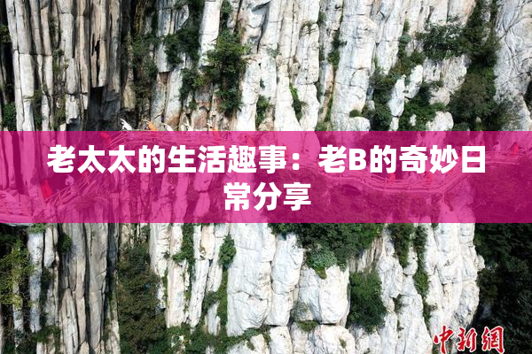 老太太的生活趣事：老B的奇妙日常分享