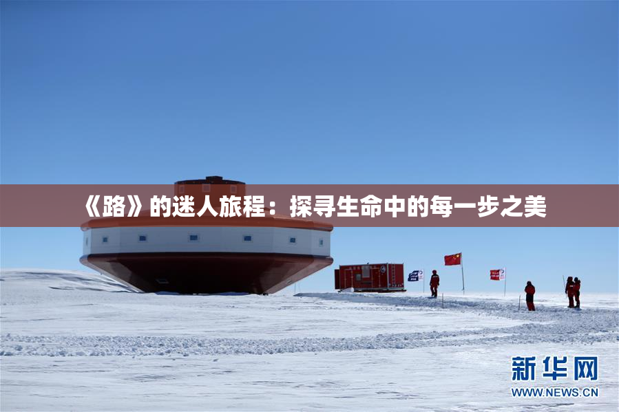 《路》的迷人旅程：探寻生命中的每一步之美