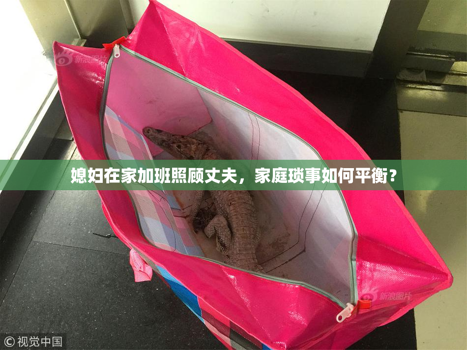 媳妇在家加班照顾丈夫，家庭琐事如何平衡？