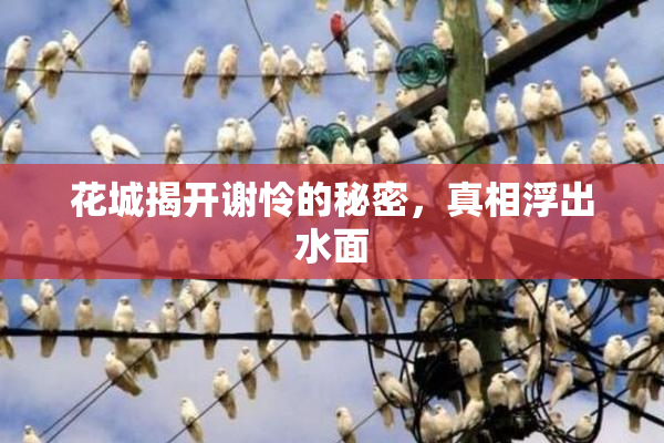 花城揭开谢怜的秘密，真相浮出水面