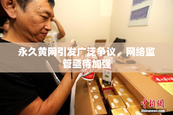 永久黄网引发广泛争议，网络监管亟待加强