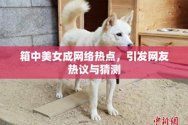 箱中美女成网络热点，引发网友热议与猜测
