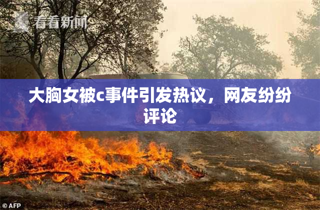 大胸女被c事件引发热议，网友纷纷评论